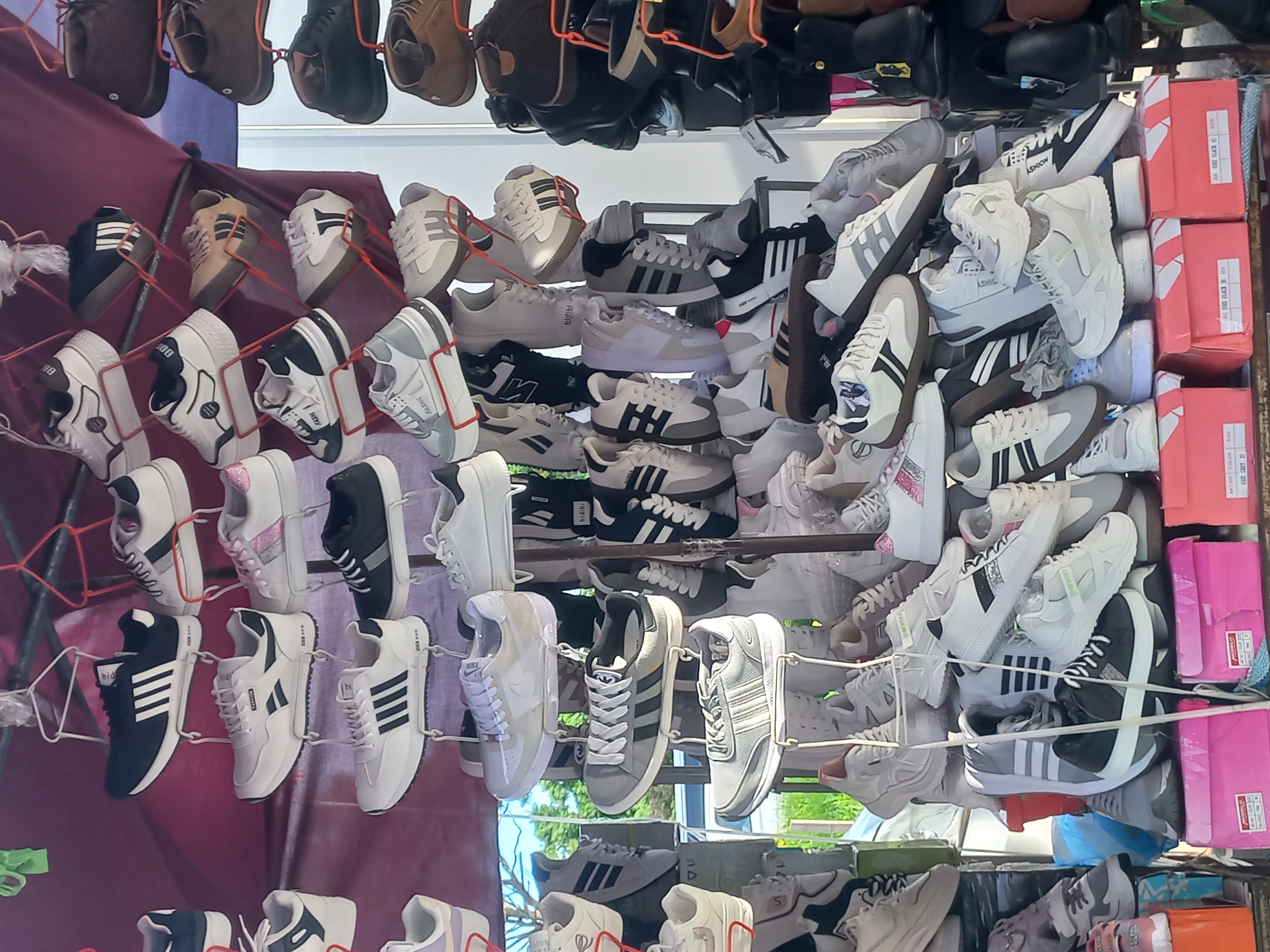 Tenis
