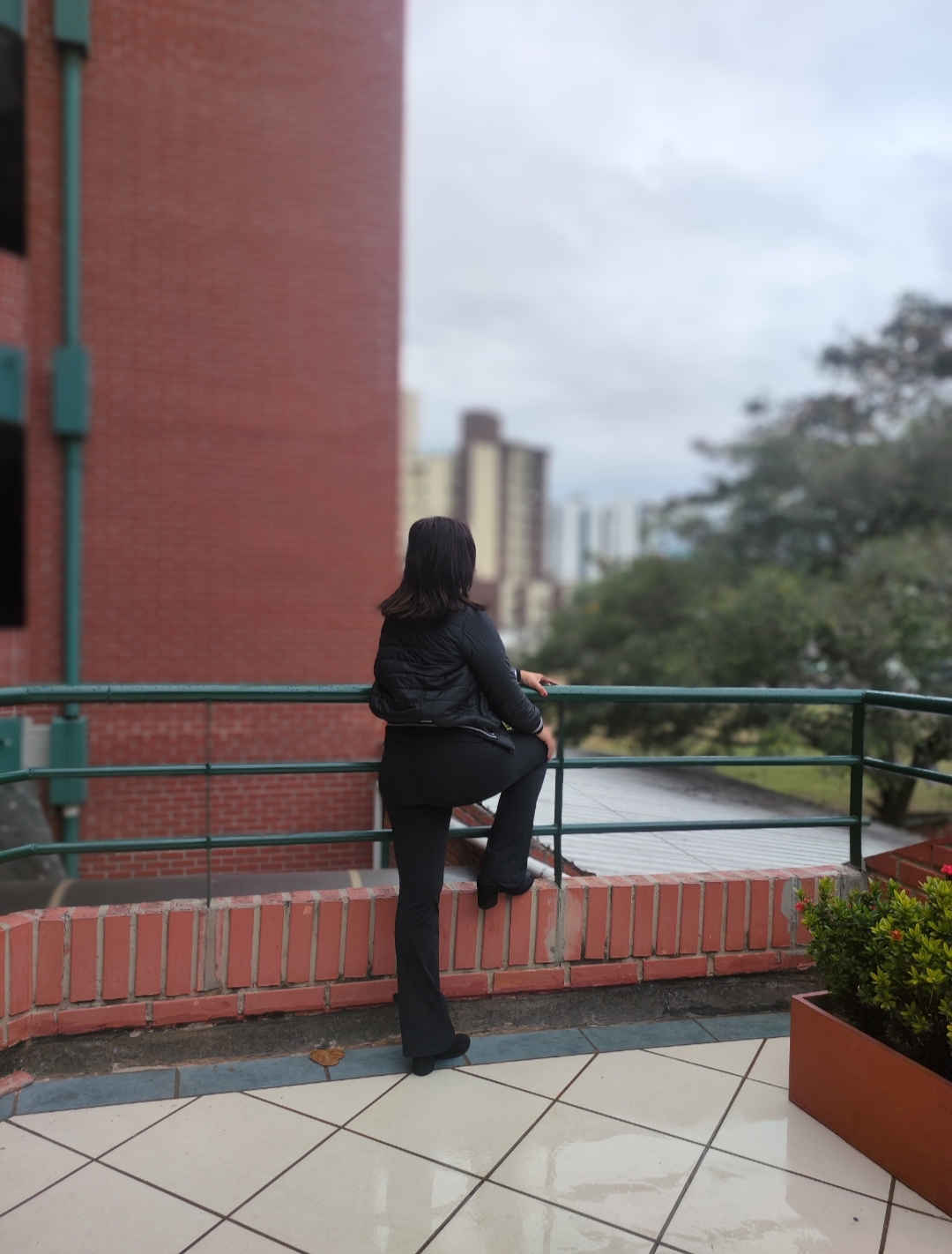 Foto del vendedor